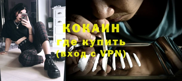 трава Осинники