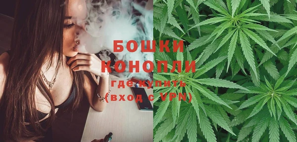 трава Осинники