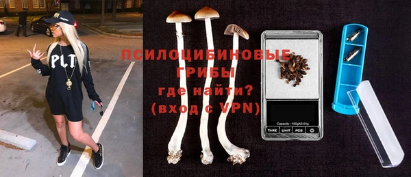 трава Осинники