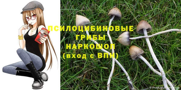 трава Осинники